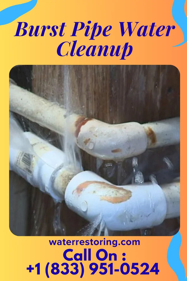 Burst Pipe Water Cleanup in Ranger, GA