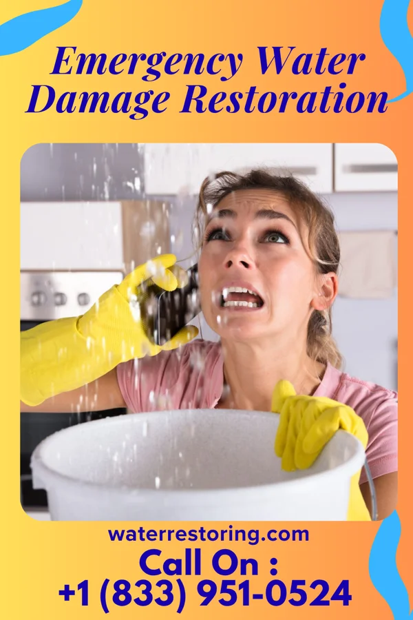 Emergency Water Damage Restoration in Ranger, GA