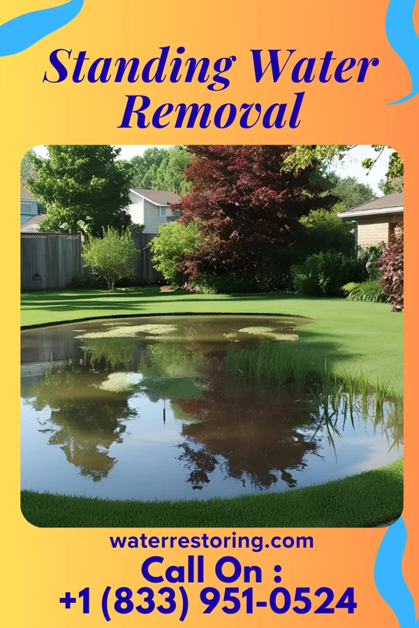 Standing Water Removal in Ranger, GA